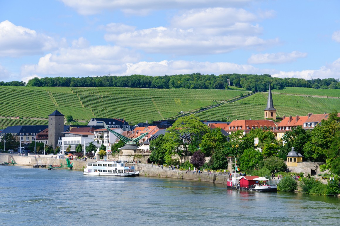 Fränkische Weinberge an der Mainschleife mit herbstlichen Reben und Blick auf Volkach